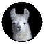 Larry the Llama, Keeper of Stats!
